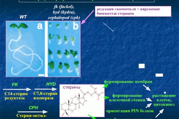 Ссылка на kraken торговая площадка