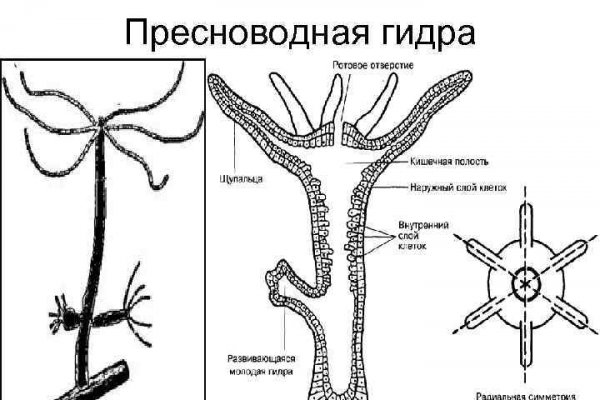 Ссылки для даркнета