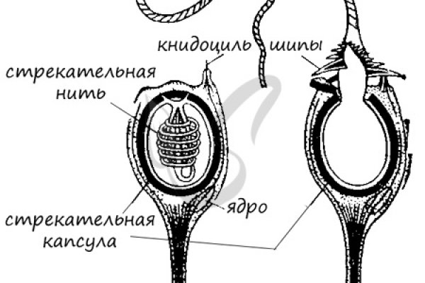 Ссылка кракен не работает